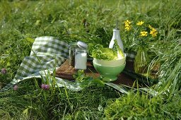 Cos lettuce with spices and dressing for a picnic