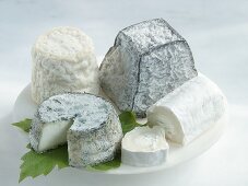 Various types of goats' cheese
