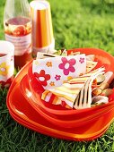 Picknick mit gefüllten Pitabroten und Fruchtsaft