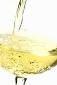 Pouring white wine (close-up)