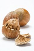 Hazelnuts, partly shelled and unshelled