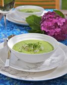 Cold pea soup with scallops