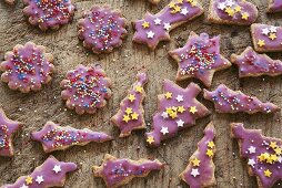 Assorted decorated Christmas biscuits