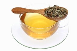 Tasse Haselwurz-Tee mit getrocknetem Kraut