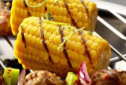 Grilled corn on the cob (close-up)