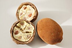 Cupuacu oder Grossblütiger Kakao (Theobroma grandiflorum)
