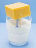 Cheddar cheese on a glass of milk