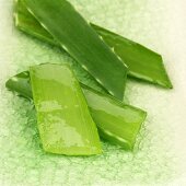 Aloe-Vera-Blätter auf grüner Keramik