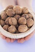 Hands holding a basket of walnuts