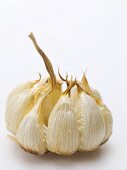 Roasted garlic bulb