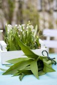 Fresh ramsons (wild garlic)