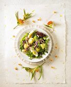 Gemischter Blattsalat mit gebratenem Thunfisch, Kartoffeln,Ei