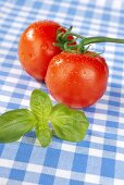 Tomaten und Basilikum auf kariertem Geschirrtuch