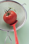 Tomato in sieve