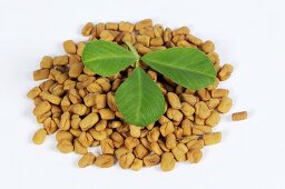 Fenugreek seeds and leaf