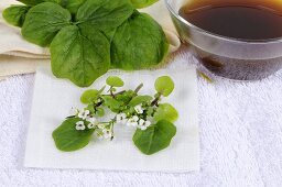 Watercress, tincture for poultices and compresses