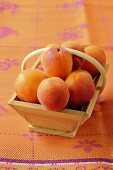 Apricots in a wooden basket