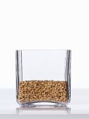 Spelt grains in a square glass