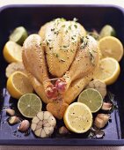 Whole chicken with citrus fruits & garlic in roasting tin