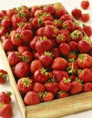 Erdbeeren in einer Steige