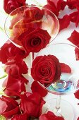 Rote Rosenblüten und zwei Aperitivgläser