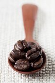 Coffee beans on wooden spoon