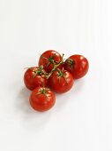 Tomaten an der Rispe