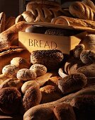 Viele verschiedene Brote und Brötchen mit Brotdose