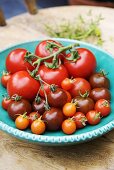 Various types of tomatoes on plate