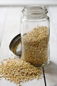 Wheat grains in a storage jar