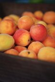 Apricots in a wooden crate