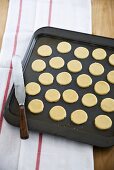 Unbaked biscuits on a baking tray