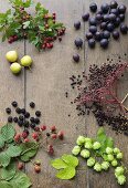 Berries, damsons, hops and pears