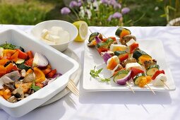 Vegetable kebabs for the barbeque on a table in the open air