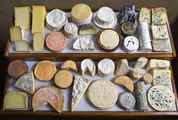 A tray of various types of cheese