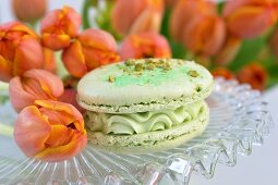 A green tea macaroon with pistachios