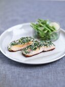 A parsley and tarragon mixture on salmon