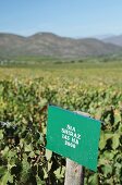 A vineyard and sign denoting the grape variety Shiraz in Orange Grove near Robertson in the Western Cape province of South Africa