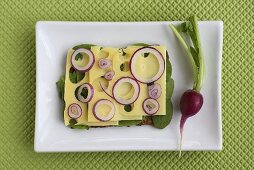 An open sandwich with cheese and red onion rings