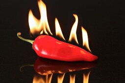 Red pepper with flames