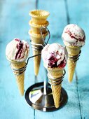 Raspberry Ripple Ice Cream (Himbeer-Vanille-Eis)