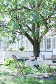 Fresh cherries on a garden table under a cherry tree