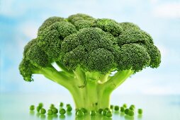 Broccoli with peas underneath
