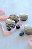Blueberry macaroons