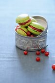 Macaroons with rhubarb-red currant jam