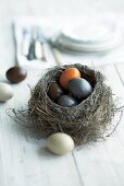 Easter eggs in nest, close-up, elevated view