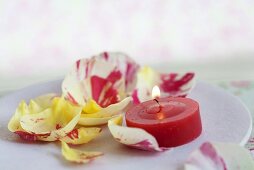 Rose petal and a tea light