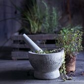 Fresh thyme in a mortar in front of a planter box with herbs