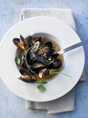 Spicy mussel soup