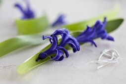 Hyacinths and leaves being tied together with wire